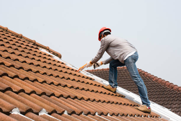 Best Sheet Metal Roofing  in Peralta, NM