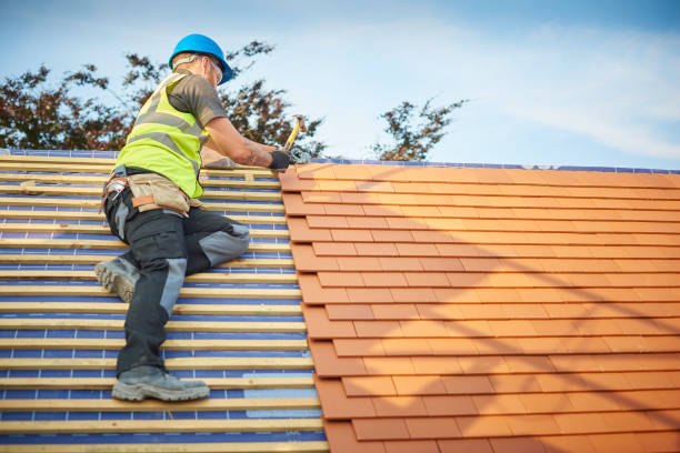 Best Gutter Replacement  in Peralta, NM